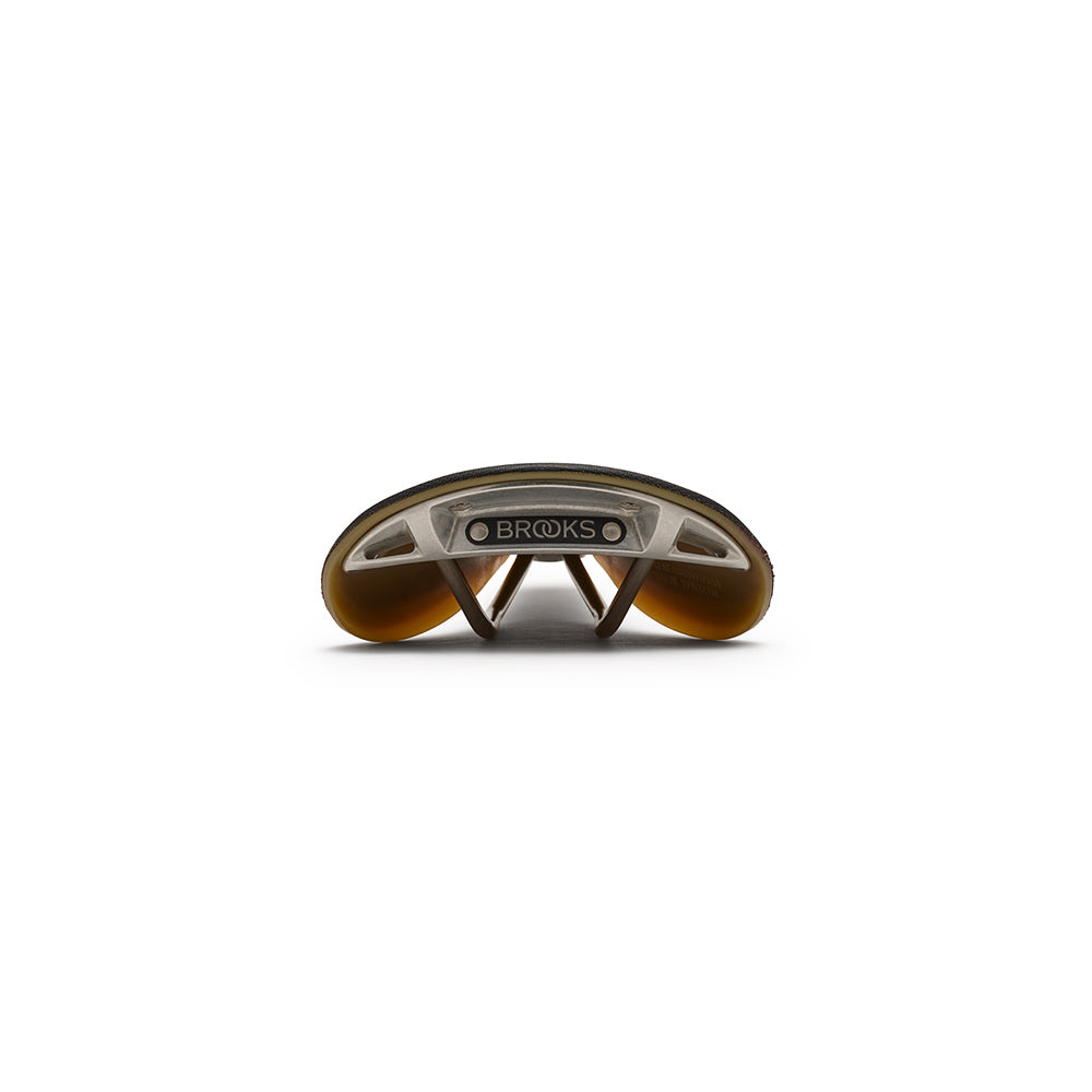 C211000A06001_C170000056001_Brooks-England_5_c17-special-black-cambium-saddle_back.jpg