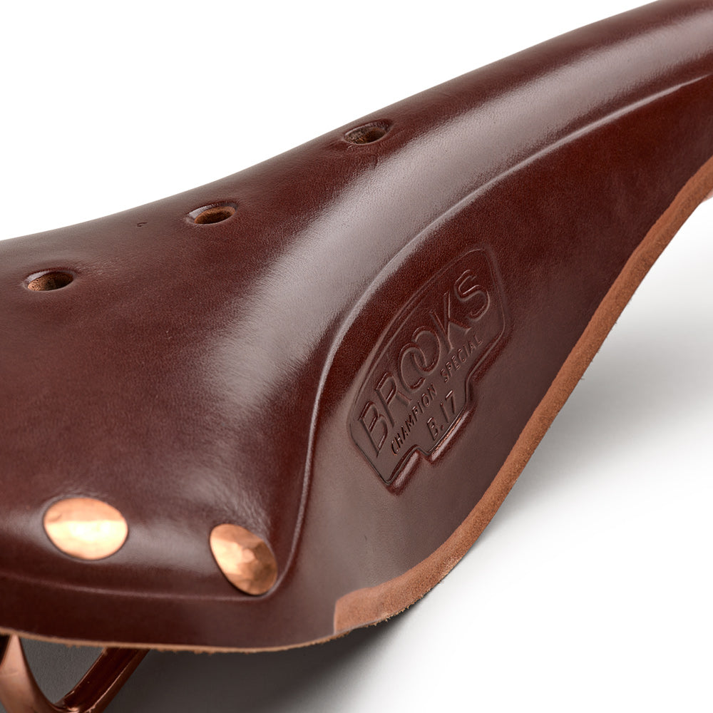 B211000A17205_B211000A17205_Brooks-England_6_B17-special-a-brown-leather-saddle_detail1.jpg