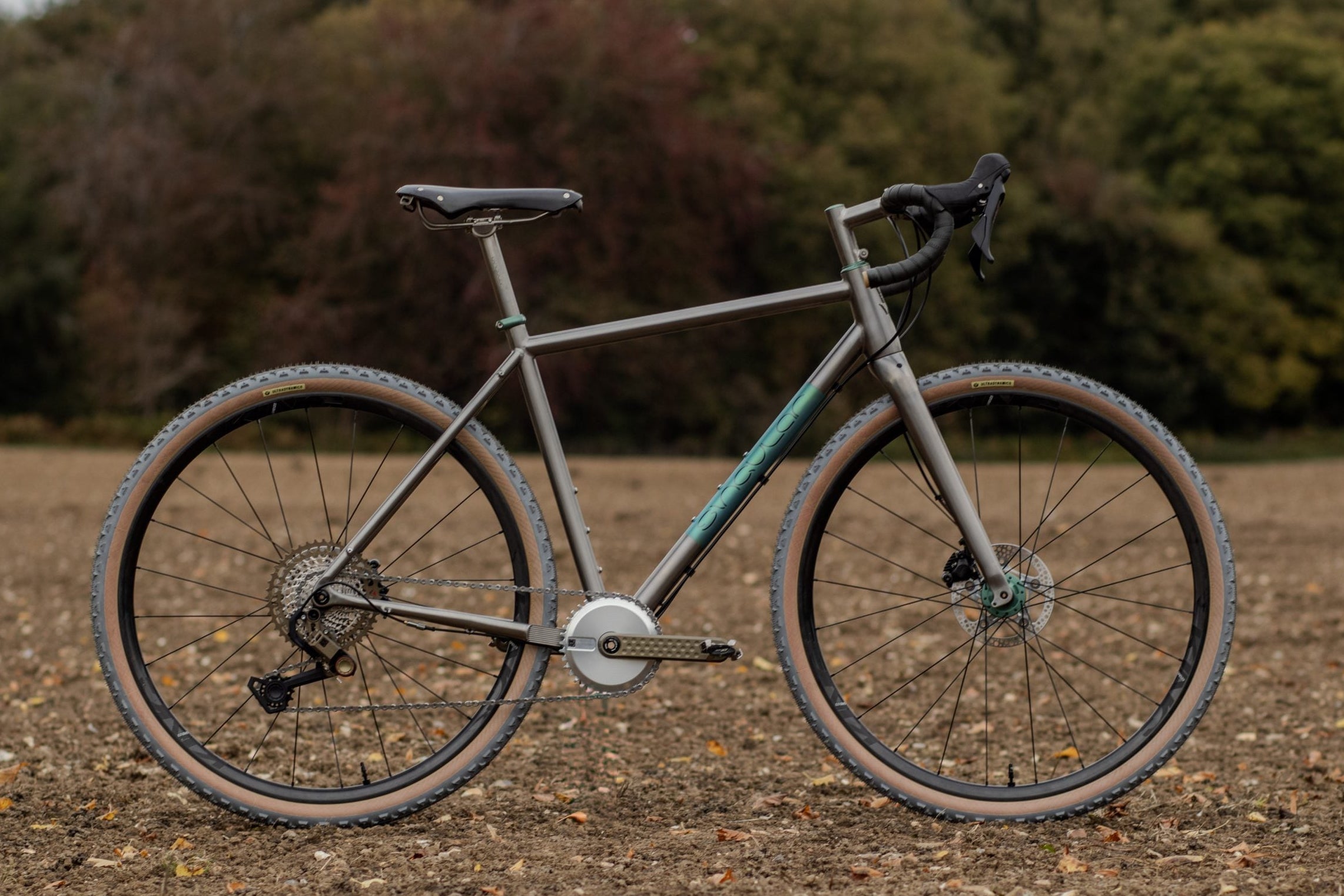 Singular Cycles Kite Titanium Mk2 from Bespoked Dresden