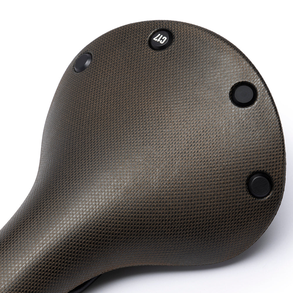 C201000A06305_C170000066305_Brooks-England_6_c17-brown-cambium-saddle_detail1.jpg